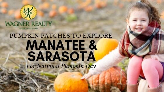 Pumpkin Patches Manatee & Sarasota